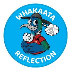 Reflection